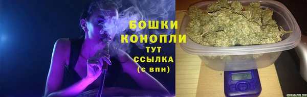 гидра Ижевск