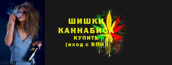 гидра Ижевск