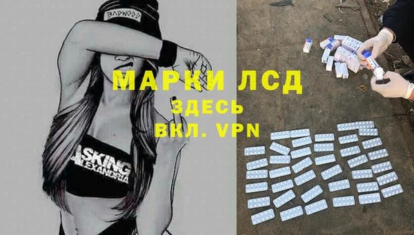 гидра Ижевск