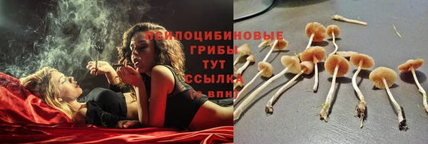 гидра Ижевск