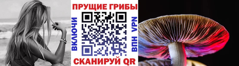 MEGA ТОР Коломна Псилоцибиновые грибы прущие грибы