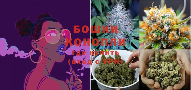 Канабис SATIVA & INDICA  Коломна 